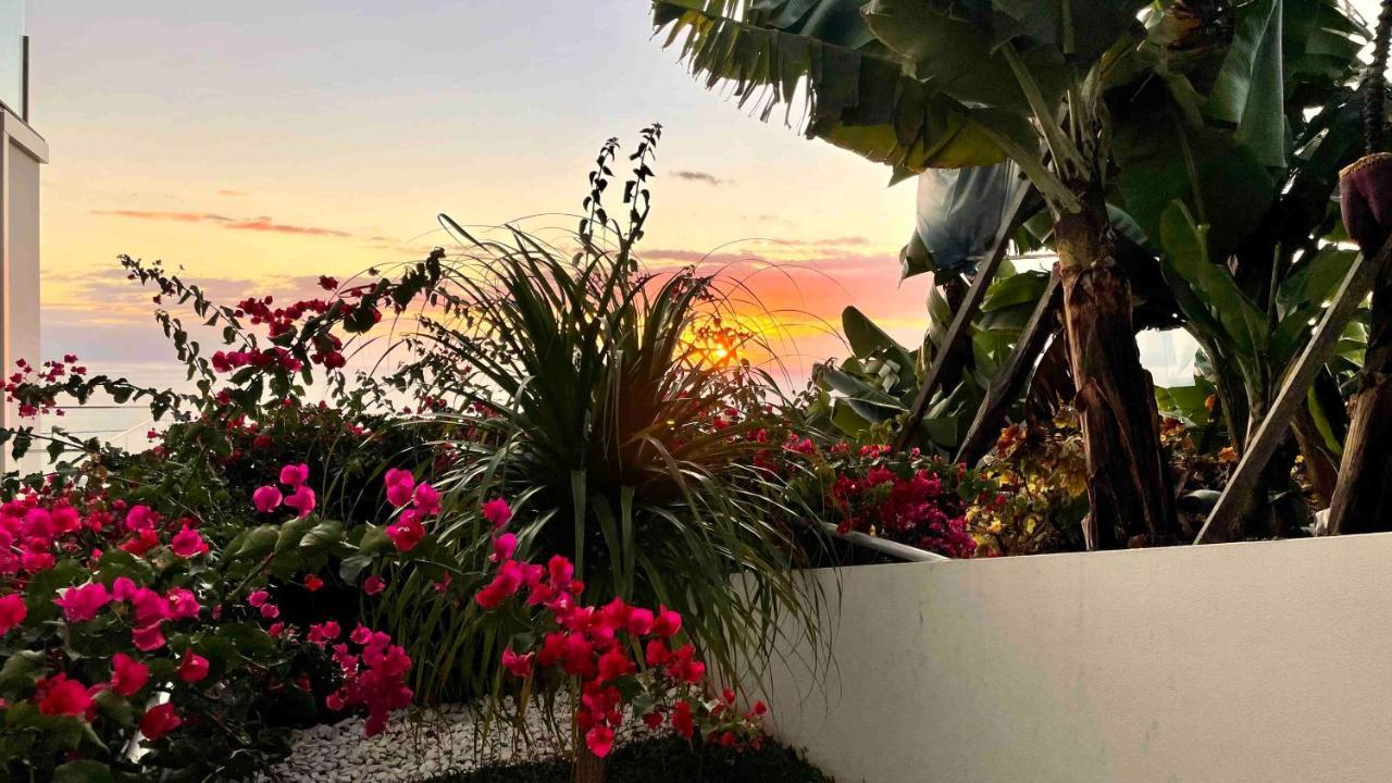 Holiday Apartment Ocean View Ribeira Brava Exteriör bild